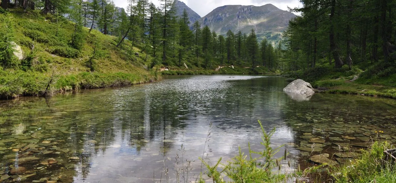 Escursioni in Val Divedro