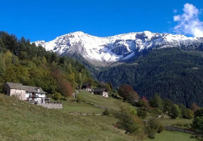 Trasquera